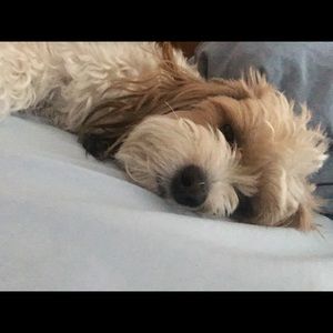 Meet your Posher, Ashlyn